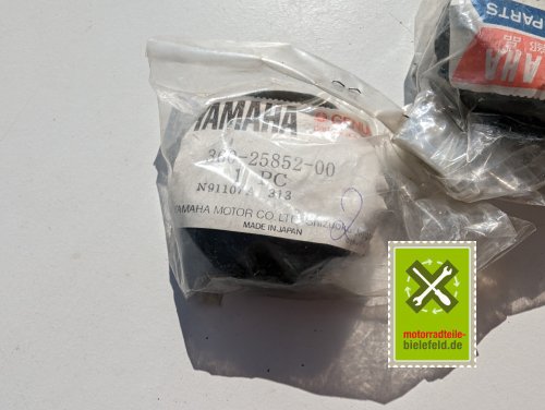 PXL_20240523_152355089